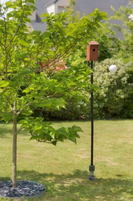 Fixation nichoir oiseau dans le jardin