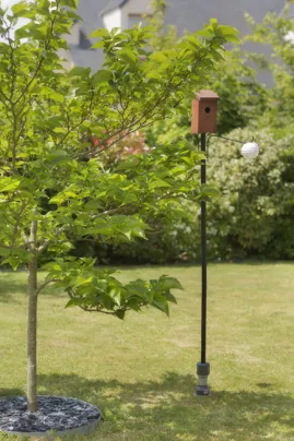 ancrage au sol mangeoir oiseau